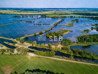 Fischteiche in der Lewitz