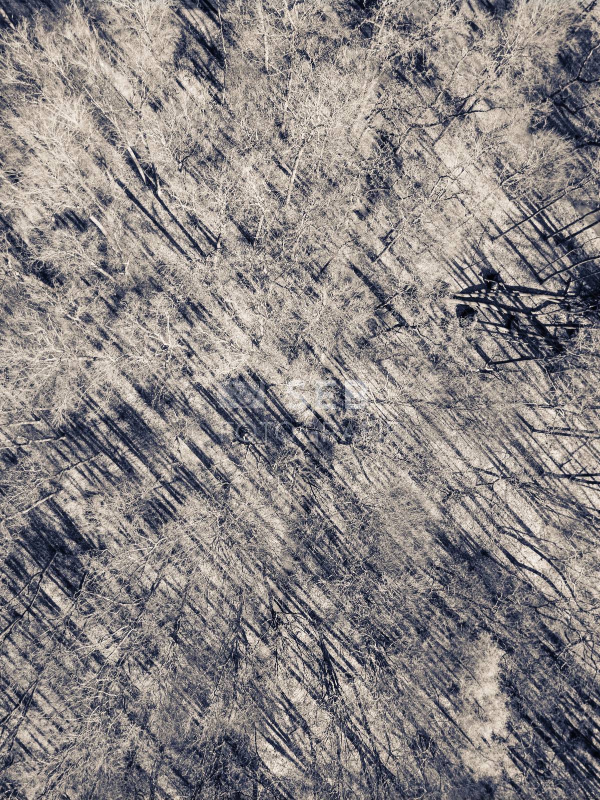 Schlosspark Ludwigslust