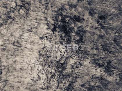 Schlosspark Ludwigslust