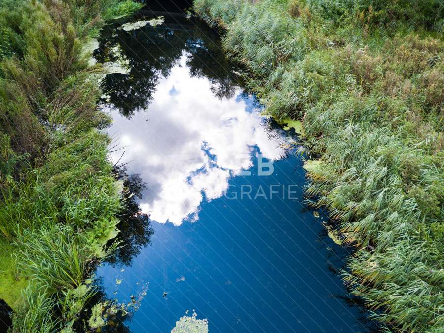 Aubach kurz vor dem Medeweger See