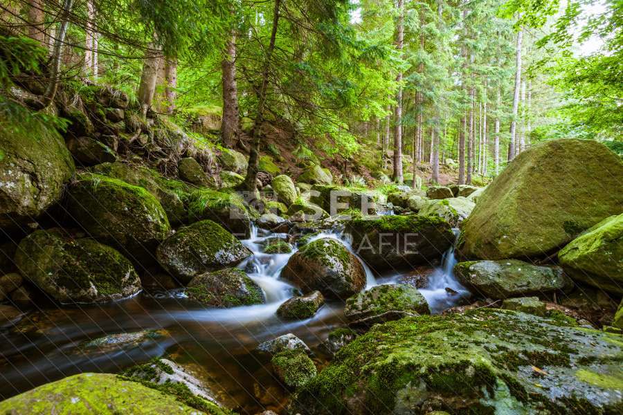 Steinerne Renne bei Wernigerode