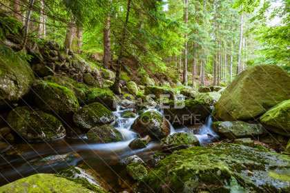 Steinerne Renne bei Wernigerode
