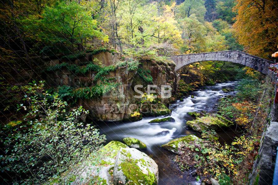 Unterwegs im Bodetal
