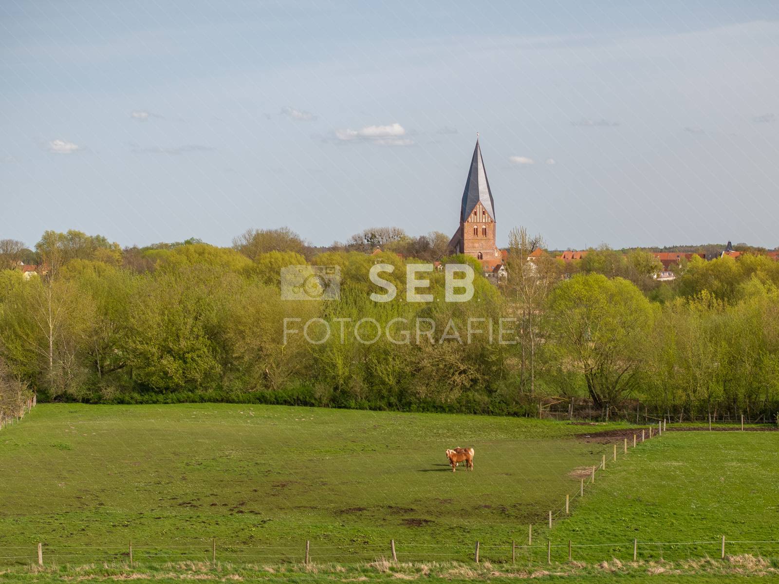 Röbel/Müritz im Frühling
