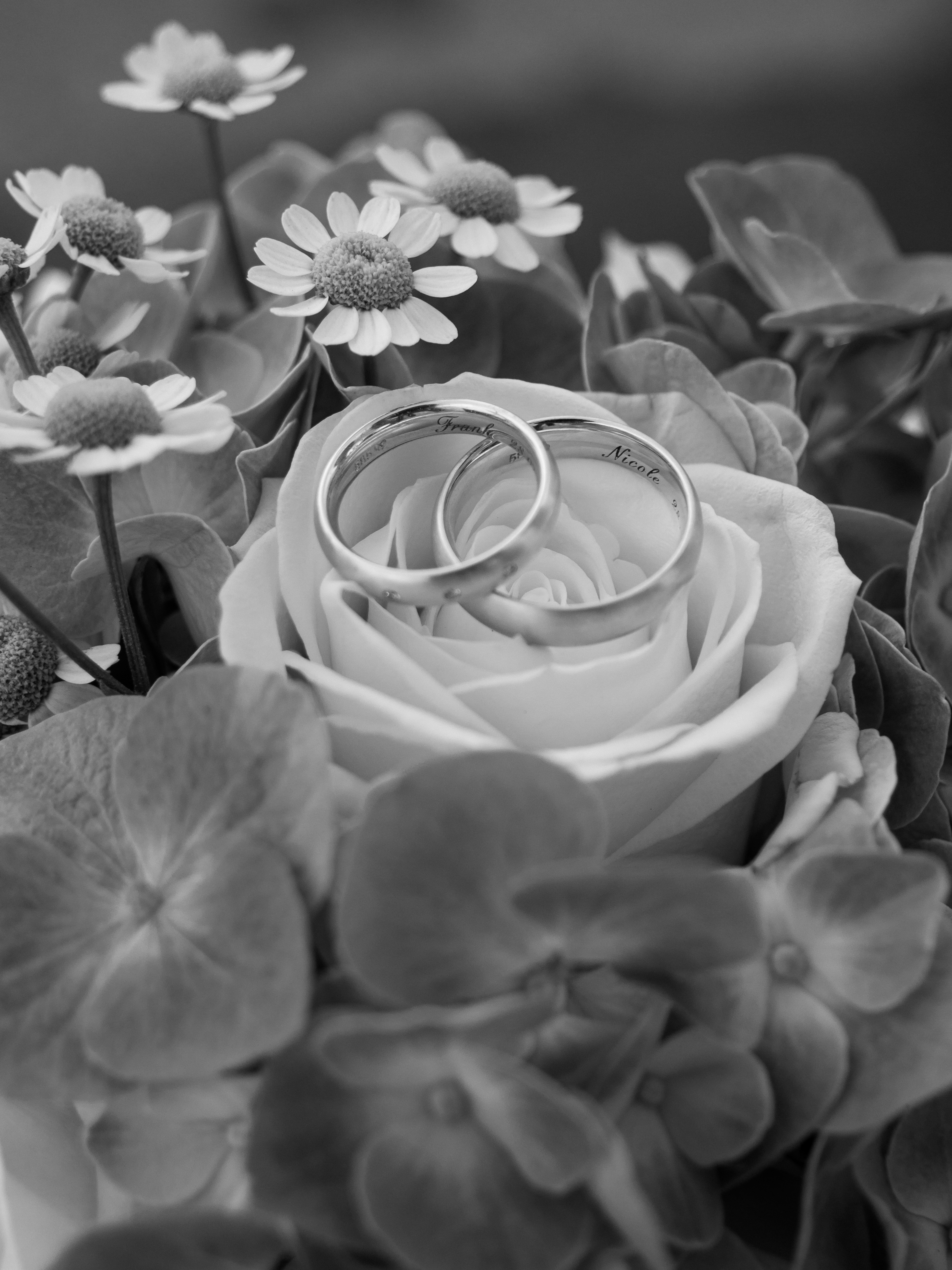 Strandhochzeit von Nicole & Frank