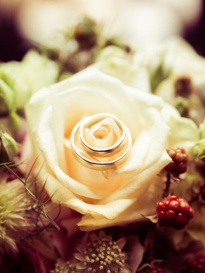 S.E.B. Fotografie Slideshow 5