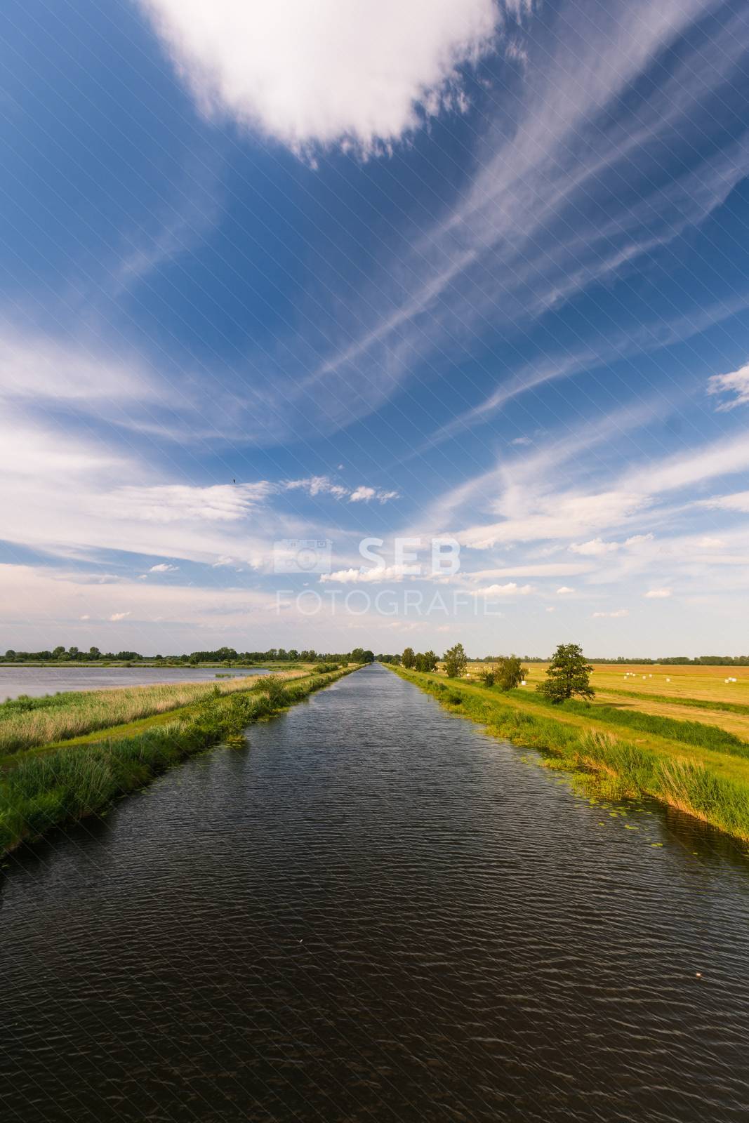 Landschaft in der Lewitz