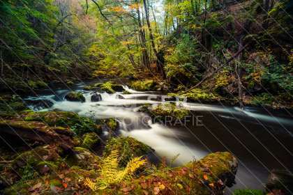 Unterwegs im Bodetal