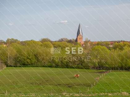 Röbel/Müritz im Frühling